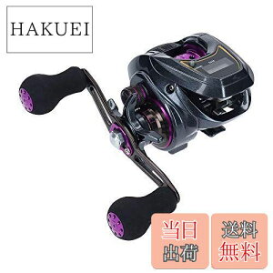 yz_C(DAIWA) LIGHT SW X IC R JE^[txCg[