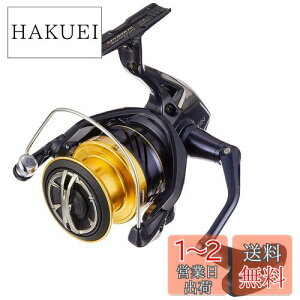 yzV}m(SHIMANO) XsjO[ 19 XtFX SW 4000XG T[t qXYL CgVAWMOELXeBO