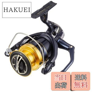yzV}m(SHIMANO) XsjO[ 19 XtFX SW 4000HG T[t qXYL CgVAWMOELXeBO