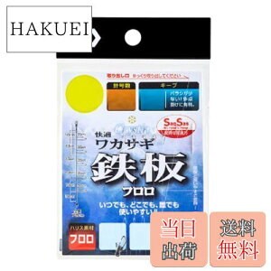 yz_C(DAIWA) NXeBA KJTMd|SS St L[v 7{ 1.0