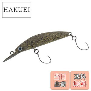 yz_C(DAIWA) GA gEg vb\ _uNb` 45S tuned by HMKL gbsOt[h A[