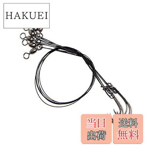 yzSHADDOCK d| C[[_[ C[nX Α⃏C[ ϖՂ̃0.35mm 30cm 6g 1/0#tbN