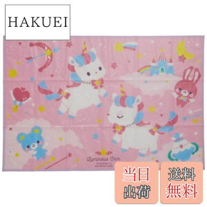 yzXP[^[ (skater) W[V[g S 60×90cm jR[ 20 VS1