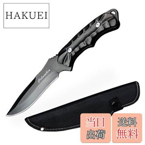 yzDcenrun V[XiCt Lv iCt AEghA  d  oRiCt tBbVO p[P[Xt