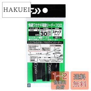 yz_C(DAIWA) NXeBA KJTMd[_[ t Xibv 40cm 0.6
