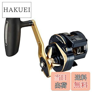 yz_C(DAIWA) 21 \eBKIC 300H-SJ