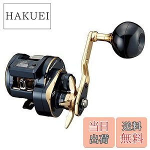 yz_C(DAIWA) 21 \eBKIC 300L