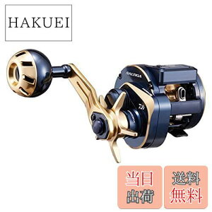 yz_C(DAIWA) 21 \eBKIC 100