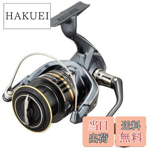 yzV}m(SHIMANO) XsjO 21 AeO 4000XG }`J[