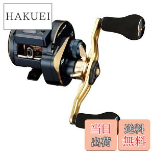 �y���������z�_�C��(DAIWA) 21 �\���e�B�KIC 100PL-DH