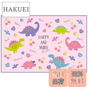 yzXP[^[ (skater) W[V[g S 60×90cm nbs[&X}C VS1-A