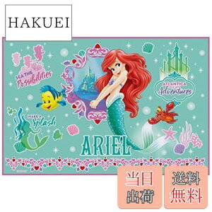 yzXP[^[ (skater) W[V[g STCY 60×90cm fBYj[ AG 22 VS1-A