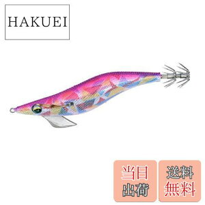 yz_C(DAIWA) GM G_X s[N RV 4.0 }[u-N[~[sNX