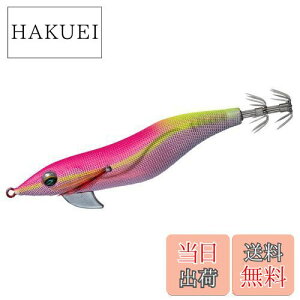 yz_C(DAIWA) GM G_X tH[LC g 2.5 -sNCG[AW