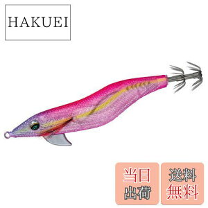 yz_C(DAIWA) GM G_X tH[LC g 2.5 PC-p[vsNAW