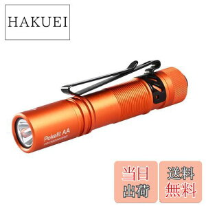yzACEBEAM Pokelit AA d ^ y  550[PO 3iK F Ra90 IP68h ő9̎s 肵ptH[}X イłƂ ledCg tbV