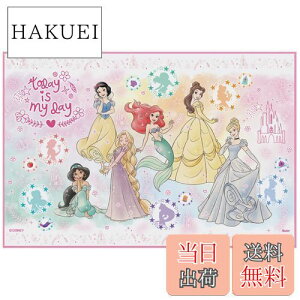 yzXP[^[ (skater) W[V[g STCY 60×90cm fBYj[ vZX 23 VS1-A