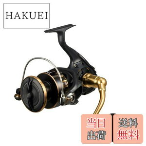 yz_C(DAIWA) XsjO[ 23BG SW 8000-H