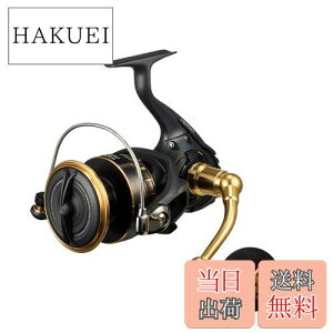 yz_C(DAIWA) XsjO[ 23BG SW 10000-H