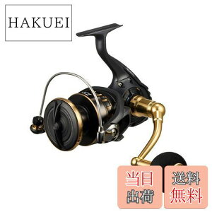 yz_C(DAIWA) XsjO[ 23BG SW 8000-P