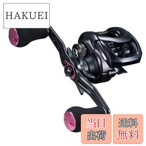 yz_C(DAIWA) xCg[ 23g 100