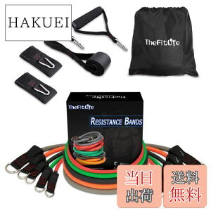 yzTheFitLife g[jO`[u `[u g[jO ؃g`[u (////D)