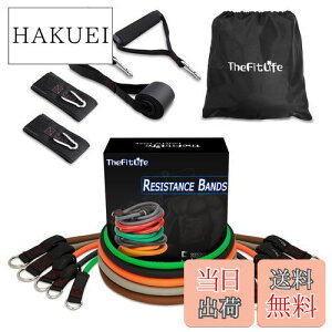 yzTheFitLife g[jO`[u `[u g[jO ؃g`[u (///D/)