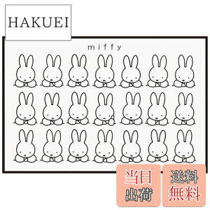 yzXP[^[(Skater) W[V[g STCY 60×90cm ~btB[ mg[ VS1-A