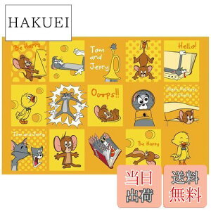 yzXP[^[(Skater) W[V[g STCY 60×90cm g&WF[ nbs[ VS1-A