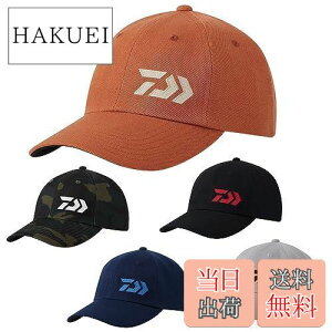 yz_C(DAIWA) Lbv DC-8123W Y O[J ނ tBbVO