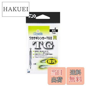 yz_C(DAIWA) NXeBAJTMVJ[TG2 R 2g 