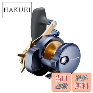 yz_C(DAIWA) WMOpxCg[ 22SALTIGA 15