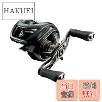 楽天市場】ダイワ(DAIWA) バスベイトリール 24STEEZ(スティーズ) SV TW 