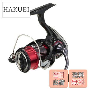 yz_C(DAIWA) XsjO[ 24lX LT1000S-P