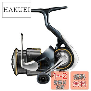 yz_C(DAIWA) XsjO[ 23GAeB(AIRITY) SF1000S-P