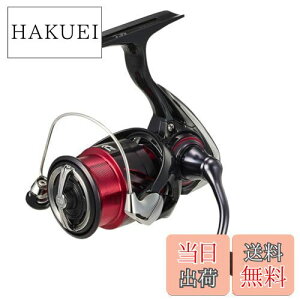 yz_C(DAIWA) XsjO[ 24lX LT2000S-P
