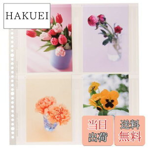 yznNo HAKUBA Ao |Pbg SF-6 vgt@C ֑䎆 |XgJ[h TCY 80 ubN nKL 51~100 ubN 520965