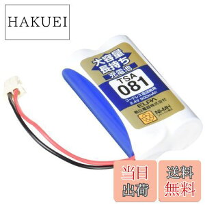 yzGp (ELPA) eʒ[dr \j[i 2.4V 900mAh jbPf[dr TSA-081