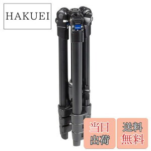 yzSLIK Or GA[ S100 WQ _uNCbNV[Zbg A~ 4i o[bN R_ r] 107225