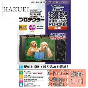 yzPR[(Kenko) tیtB tveN^[ SONY Cyber-shot RX100VII/VI/V/IV/III/II/RX1 RIIp { KLP-SCSRX100M7