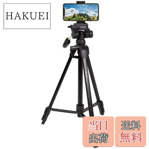 yzKenko Or ZF-300WSH X}zz_[t 3i NCbNV[ ő哋ڏd2kg 520215