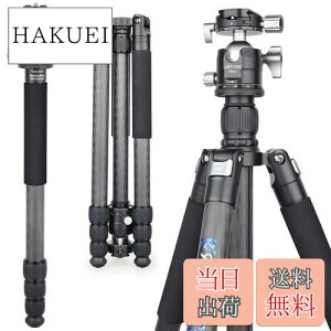 yzJ J[{ Or ibgbN li gx rLkώ SL 185cm ARTCISE pm} 40 mm{[dS_ NCbNV[ OrobO t rfI fW^J 