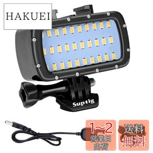 yzSuptig 30 LED rfICg hCg Cg GoPro Hero 10 Hero 9 Hero 8 Hero 7 Hero 5 Hero 6 Hero 4 Canon Nikon Sony Olympus SLRJp h 180tB[g (55m)