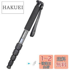 yzINNOREL r Jp J[{ 22lbs/10kgω׏d 5ZNVLk\ RpNg ֗ y spiRM285Cj