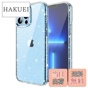 yzJEDirect iPhone 13 Pro (6.1C`p) 炫 P[X uu Ռz op[Jo[ 킢 LL p (NA)