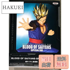 �y���������z�o���v���X�g �h���S���{�[���� BLOOD OF SAIYANS SPECIAL XII ���T�C���l�����