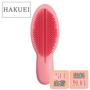 �y���������zTANGLE TEEZER �^���O���e�B�[�U�[ �U�E�A���e�B���b�g �F�F�A�C���X�s�[�`�A�T�C�Y�F1�� (x 1)