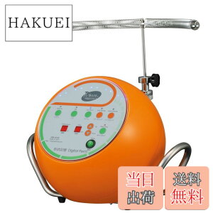 �y���������z�p�C���A�iPaimore�j�`��L���f�W�^���p�[�}3 AL �{�́i�p�b�V�����I�����W�j �F�F�p�b�V�����I�����W�A�T�C�Y�F�~�f�B�A��