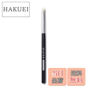 �y���������zSILSTAR PROFESSIONAL MAEKUP BRUSH �F�F�u���b�N