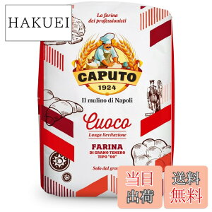 �y���������zCAPUTO(�J�v�[�g) �T�b�R���b�\ �N�I�[�R 1kg 1�� �T�C�Y�F1�L���O���� (x 1)